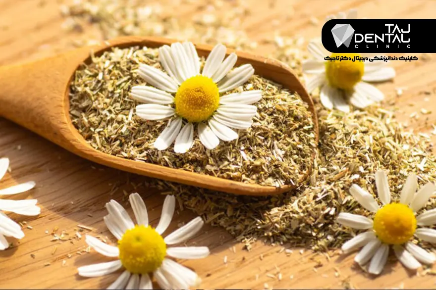 دارو گیاهی برای درد دندان -با بونه