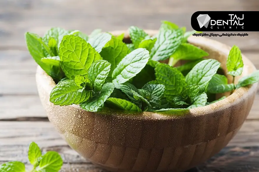 دارو گیاهی برای درد دندان - نعناع