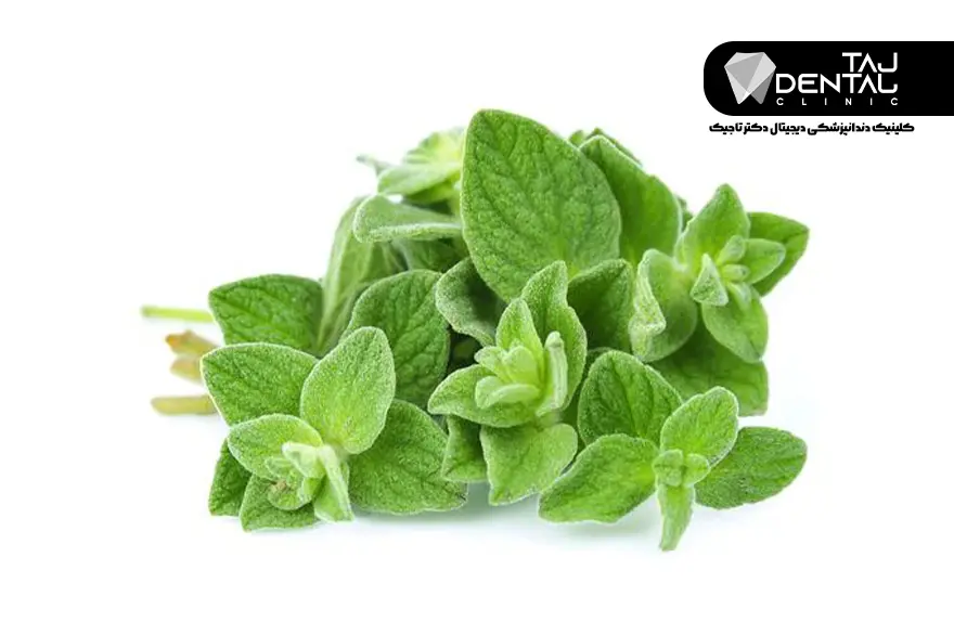 دارو گیاهی برای درد دندان - پونه